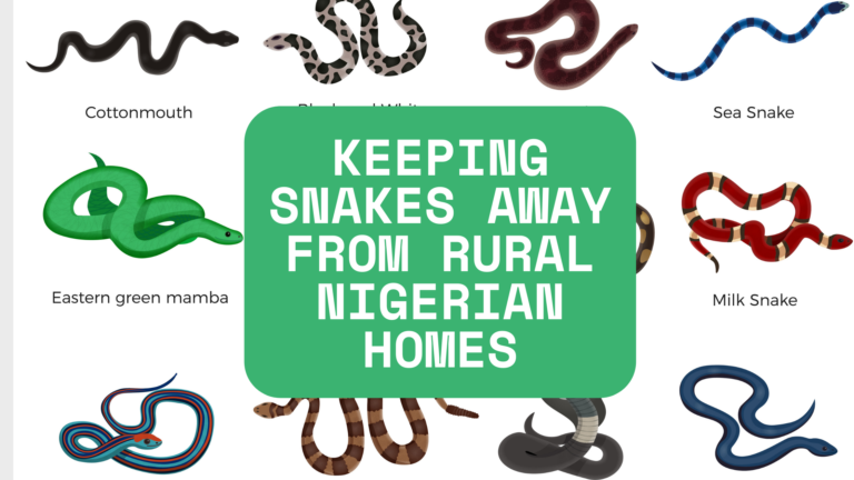 Keeping Snakes Away from Rural Nigerian Homes