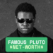 Famous Pluto Net Worth