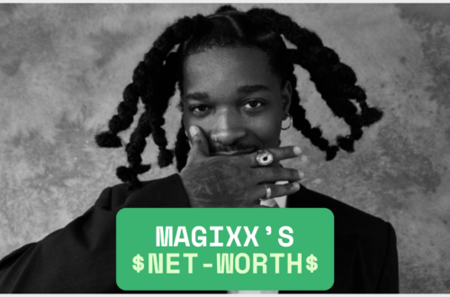 Magixx Net Worth