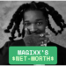 Magixx Net Worth