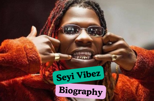 Seyi Vibez Net Worth