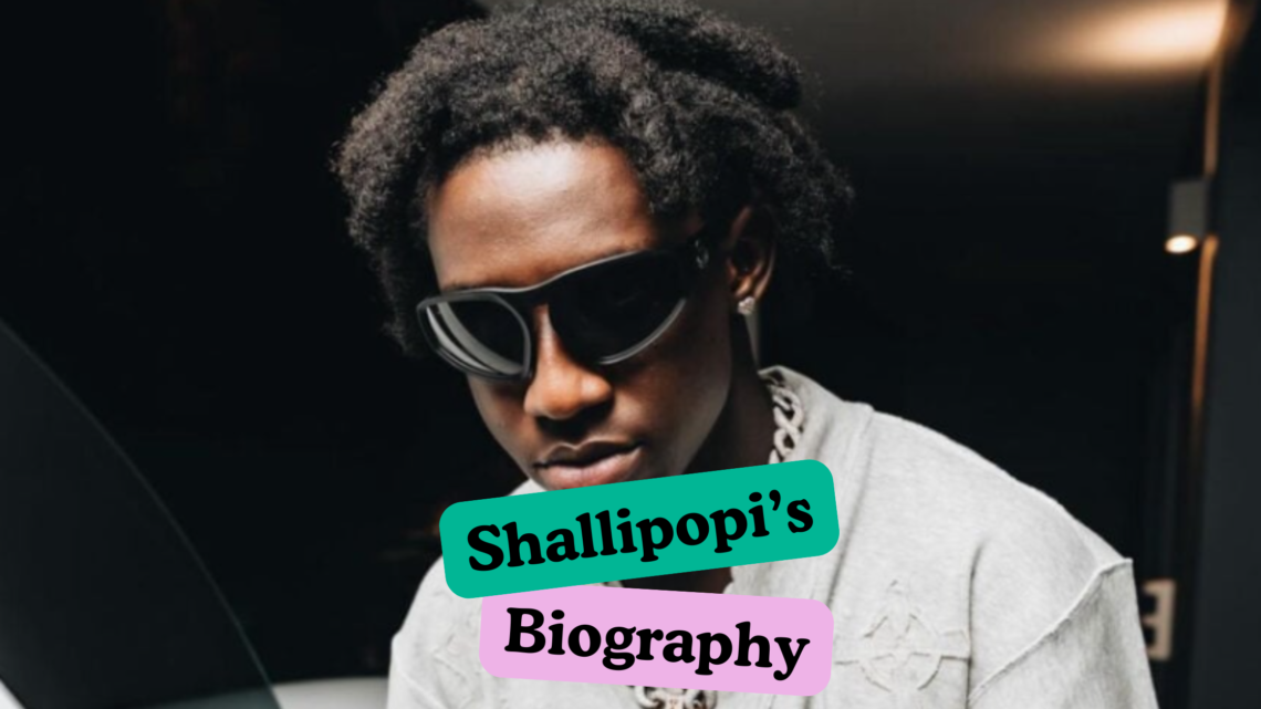 Shallipopi Net Worth