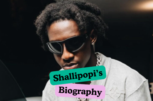 Shallipopi Net Worth