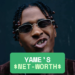 Yamê Net Worth
