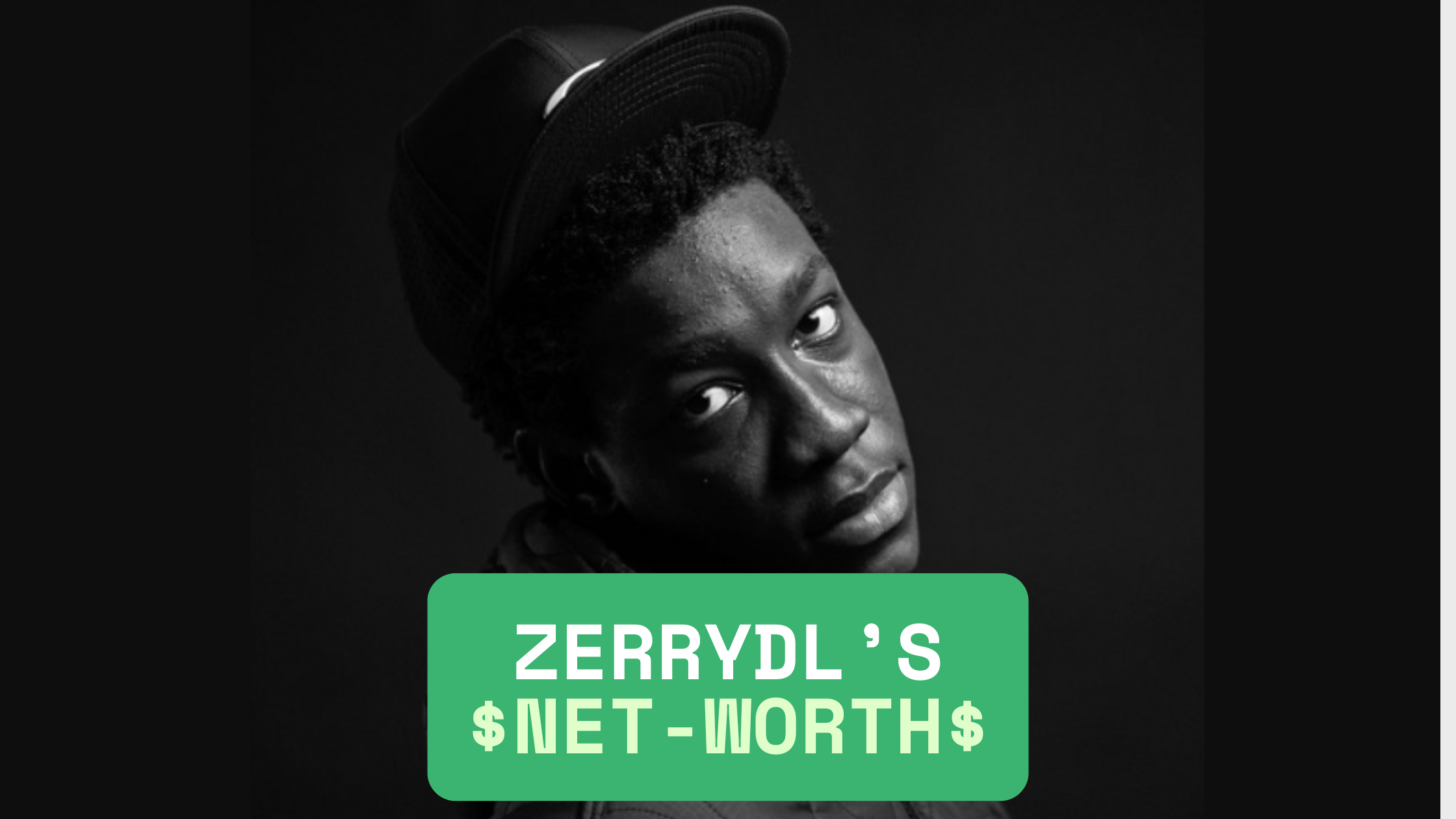 Zerrydl Net Worth 2026: Full Biography · Real Name · Age · Assets